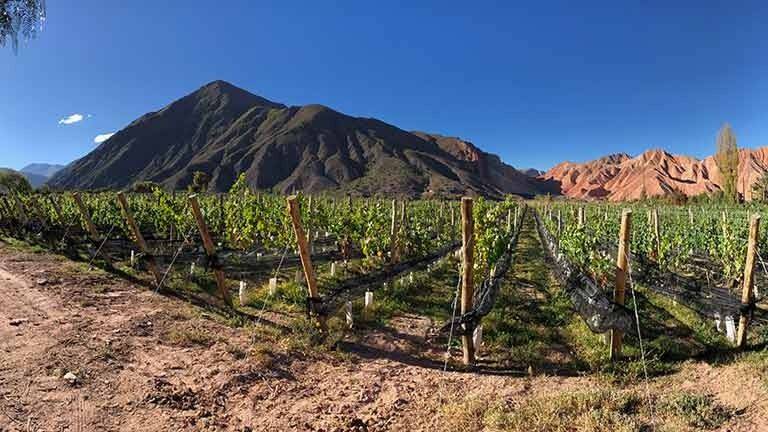 Hay otra Indicación Geográfica