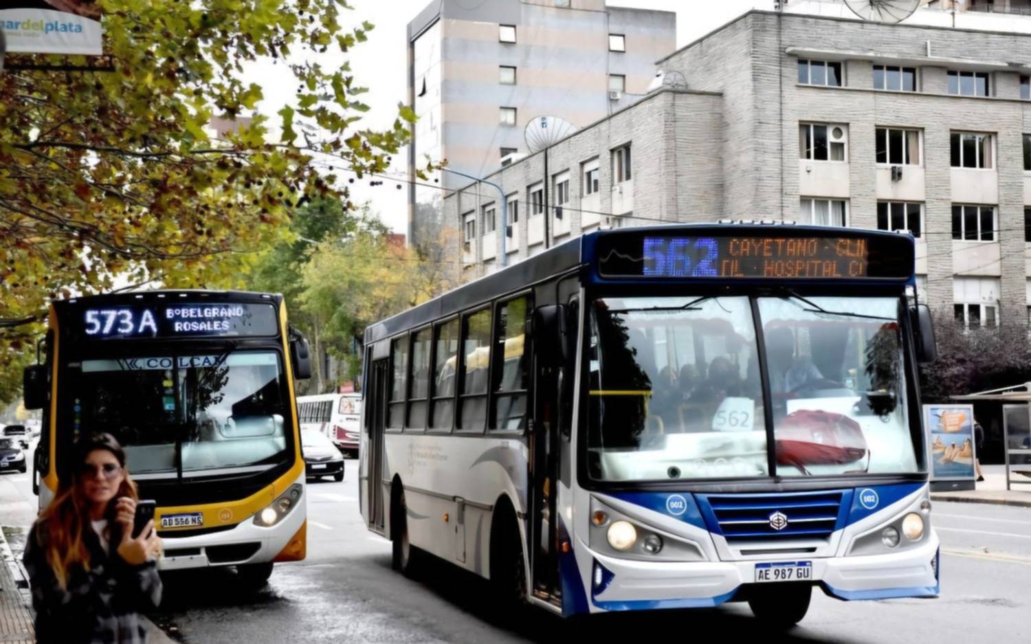 Mar del Plata: el domingo no habrá transporte gratuito pese a la medida provincial