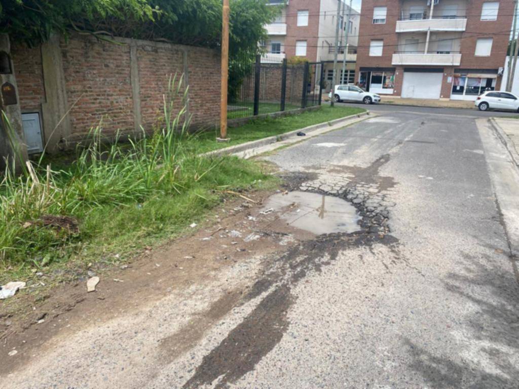 A metros de 6 y 77, un bache que junta agua y tiene “jardín” propio