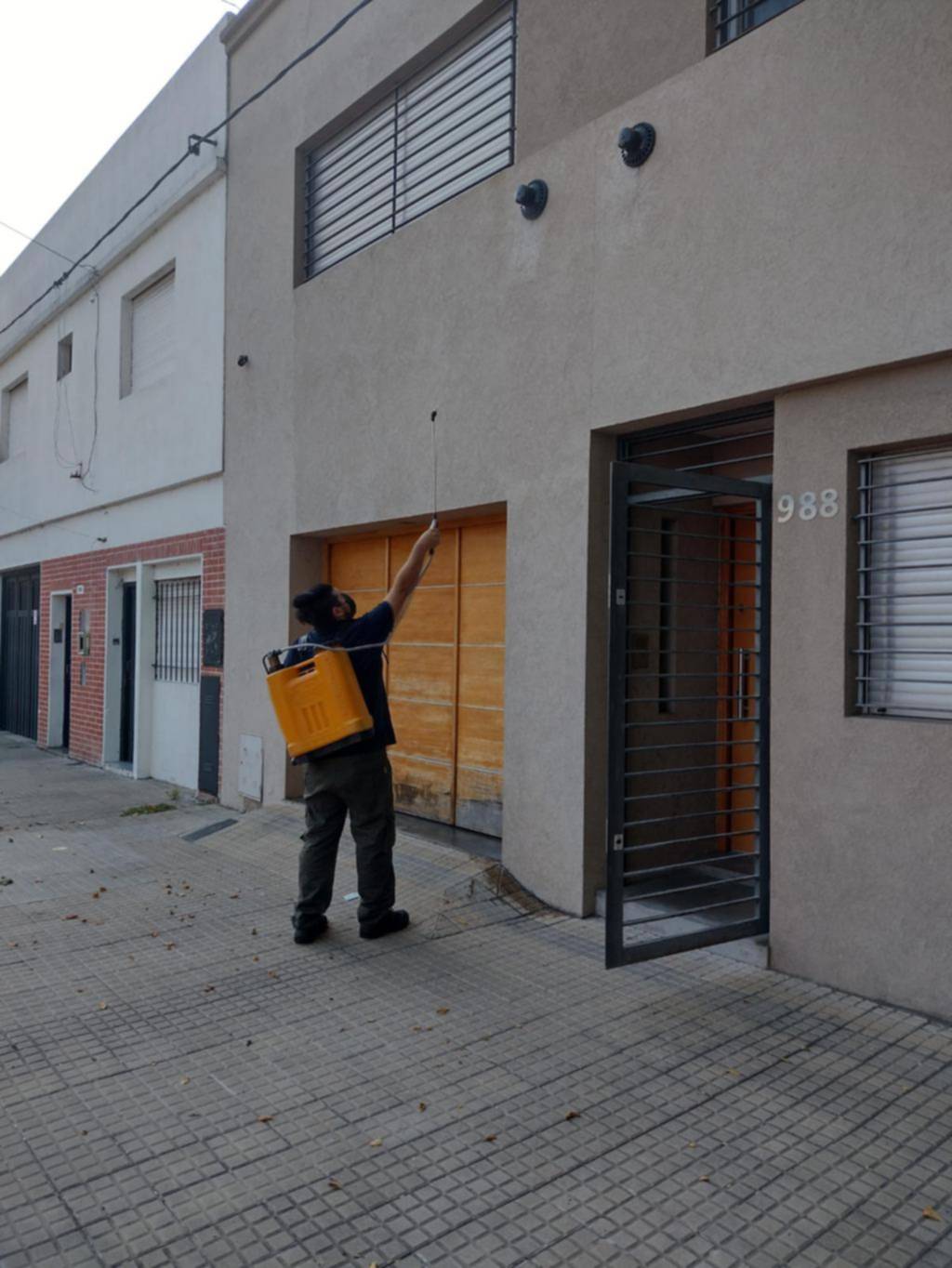 Control de plagas urbanas: hasta $200 mil para proteger el hogar