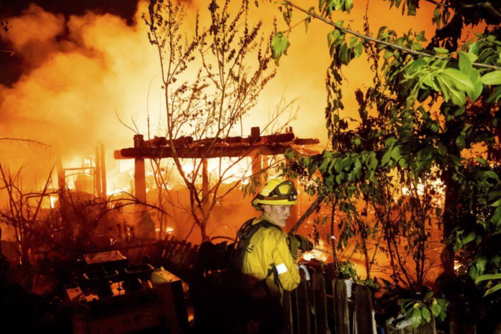 Incendios forestales: alertan por su enorme impacto