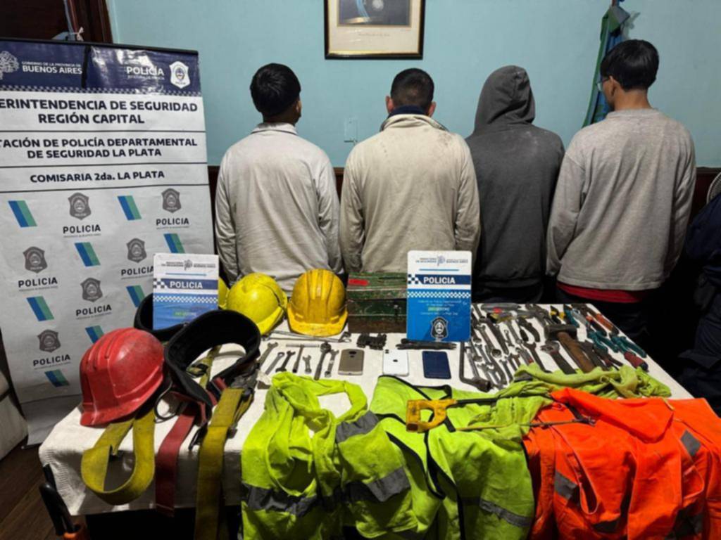 Venían desde Varela para robar cables en La Plata