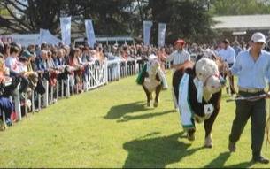 El Sudoeste Bonaerense inicia su calendario de exposiciones rurales