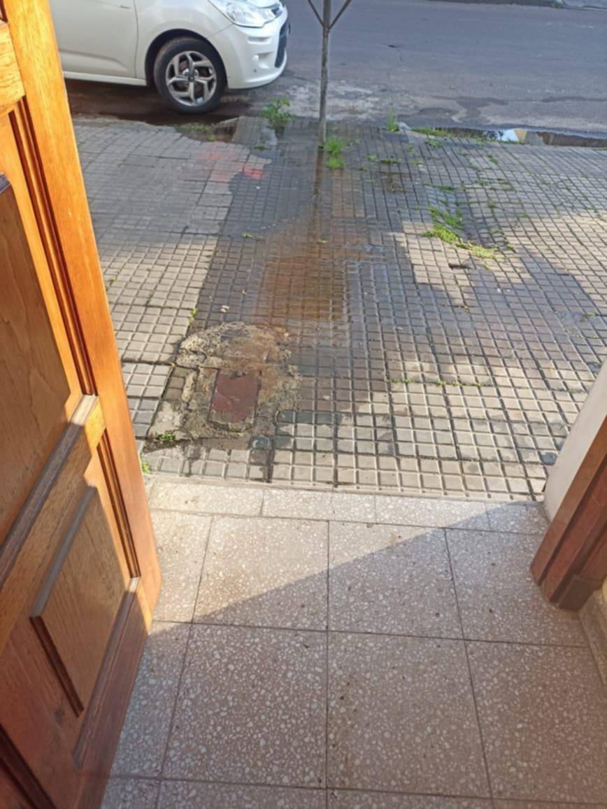 Hace casi medio año que una pérdida de agua genera malestar vecinal