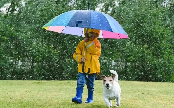 ¡Tiempo loco en La Plata! Sigue la primavera anticipada pero con posibles chaparrones esta tarde