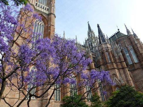 La primavera ya se instala en La Plata: jueves con sol radiante y máxima de 22ºC