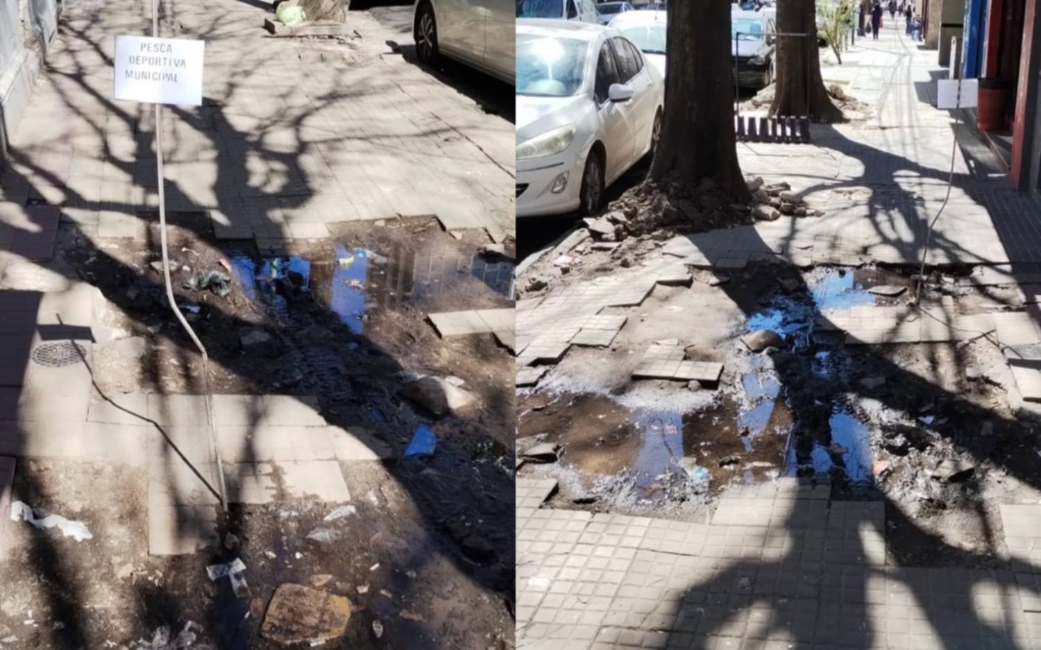 En el centro de La Plata los vecinos inauguraron la “Pesca deportiva municipal”