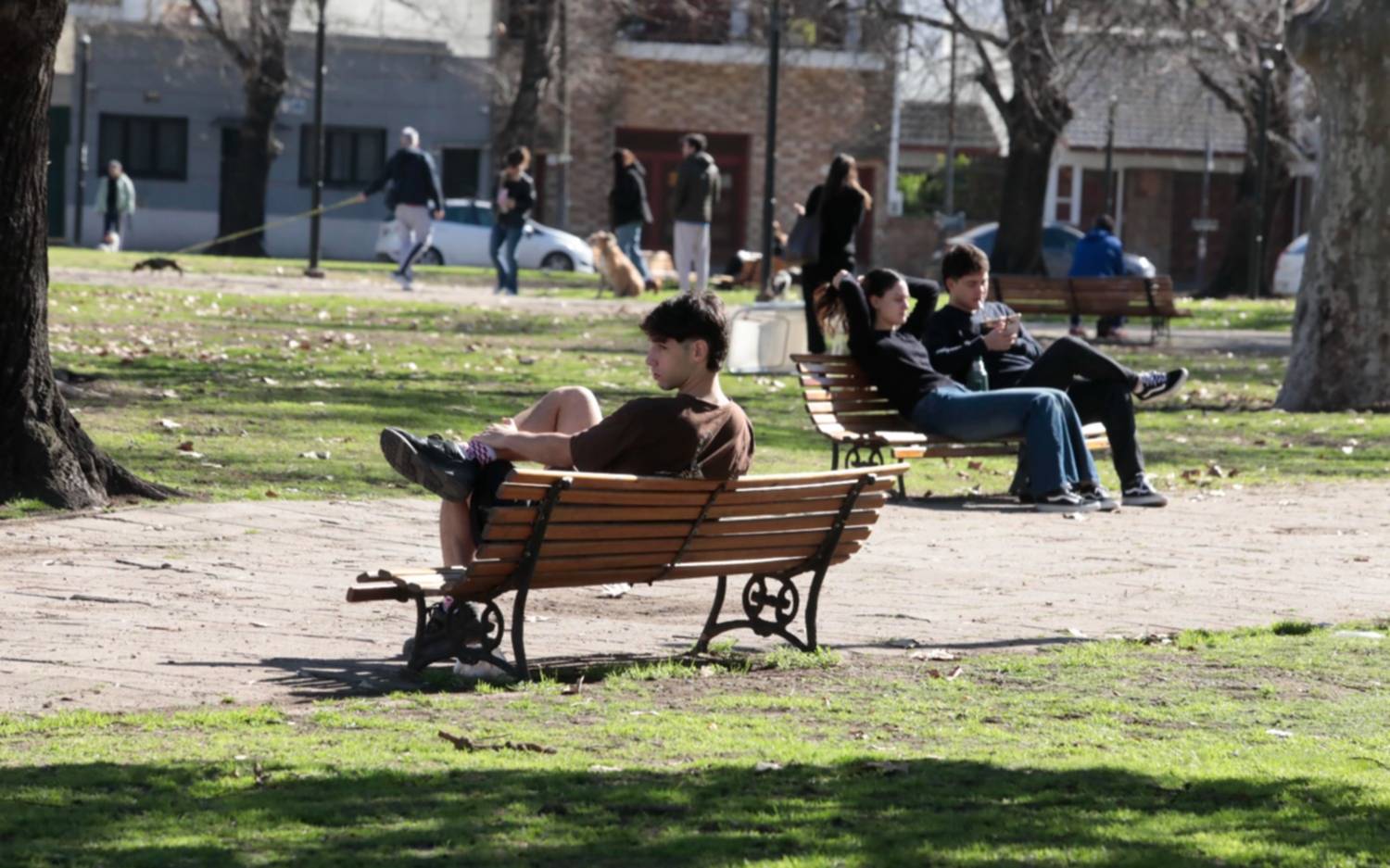 Viernes primaveral en La Plata: ¿cómo sigue el tiempo durante el fin de semana?