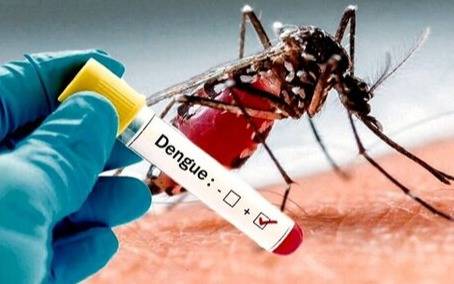 Dengue: la Provincia da más de 22 mil turnos para que se vacunen gratis quienes no tuvieron la enfermedad