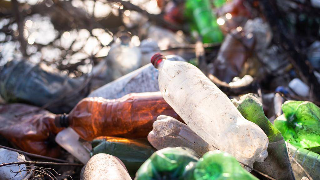 Avance ecológico: crece el interés por el reciclaje