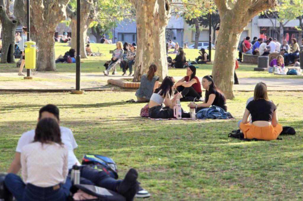 Primavera sin alergias: un “privilegio” posible para todos