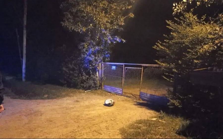Golpeó a su pareja, la tiró en una zanja y dejó heridos a dos policías en La Plata