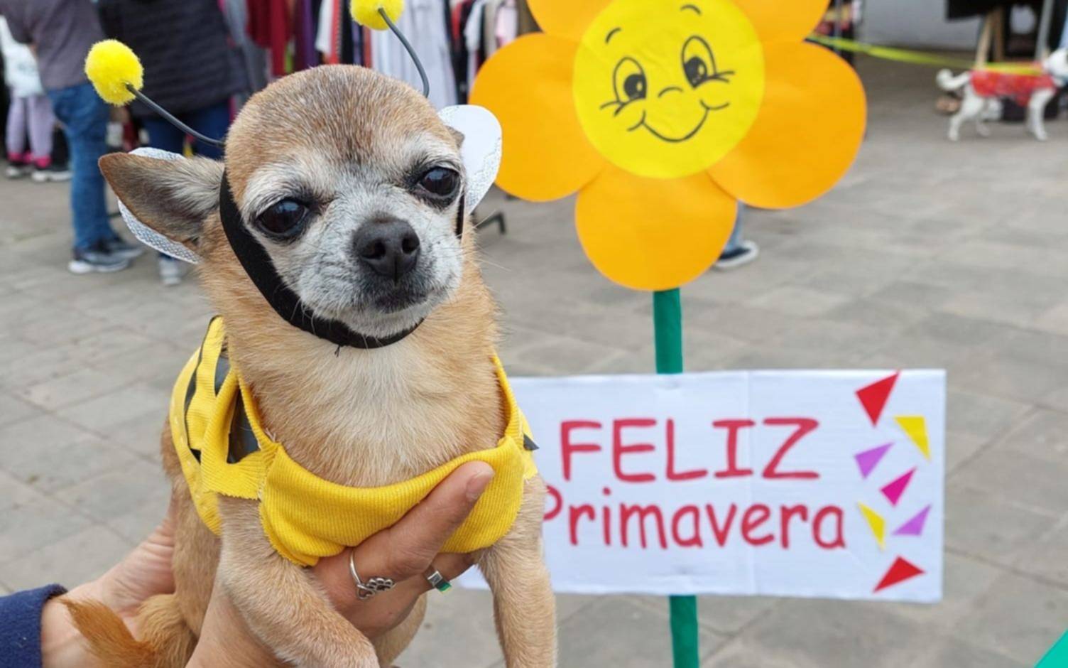 Desfile de mascotas en Plaza Belgrano
