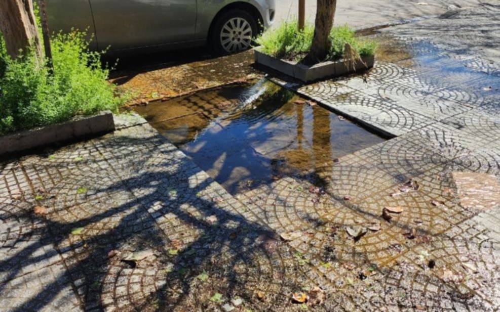 "Se patinan con el verdín, es un peligro", la pérdida de agua que se encamina a "cumplir un año"