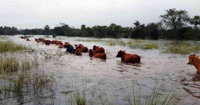 Hay más de 3 millones de hectáreas bajo el agua en el campo bonaerense