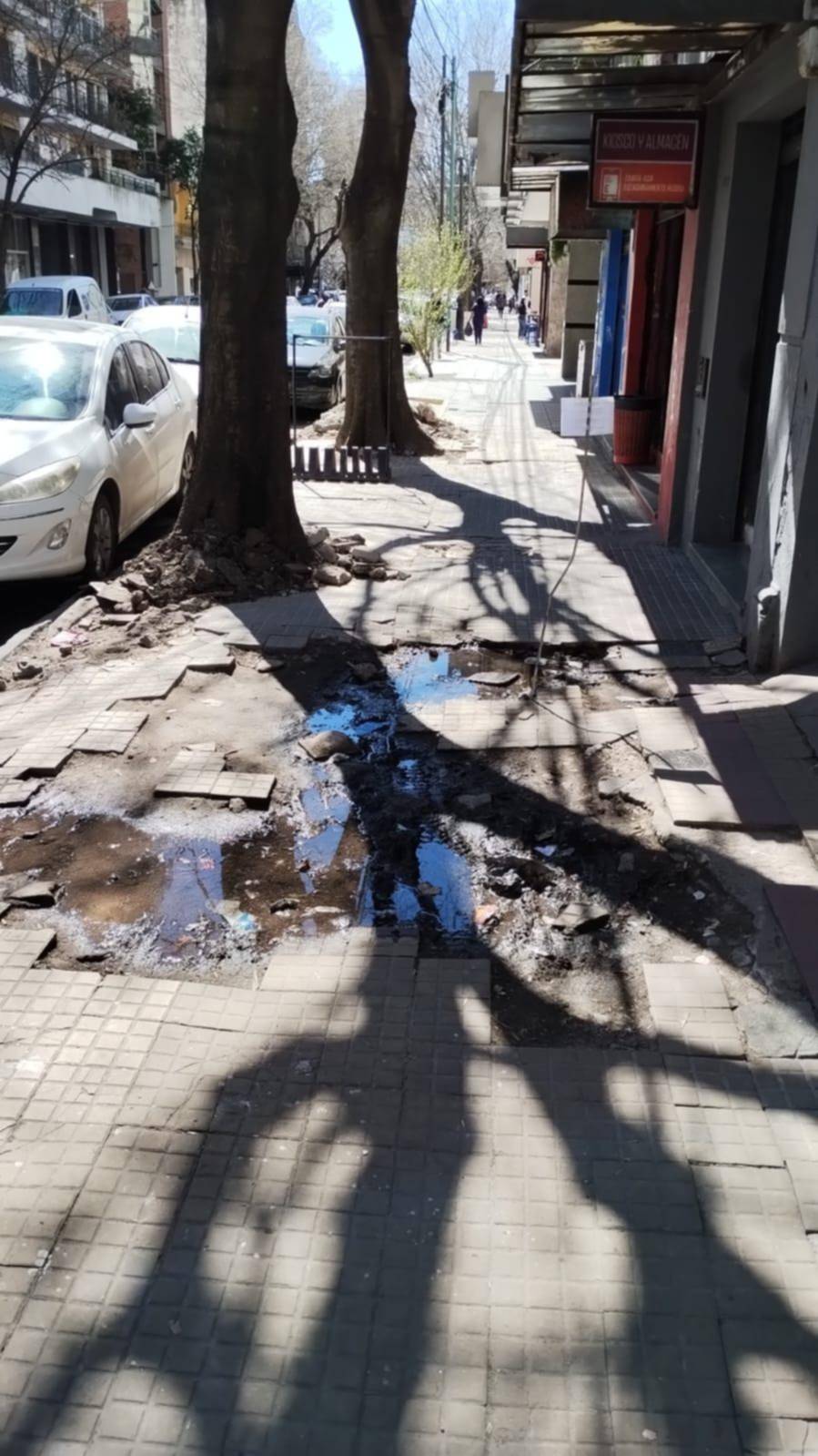 En pleno casco urbano, las veredas son una amenaza para transeúntes