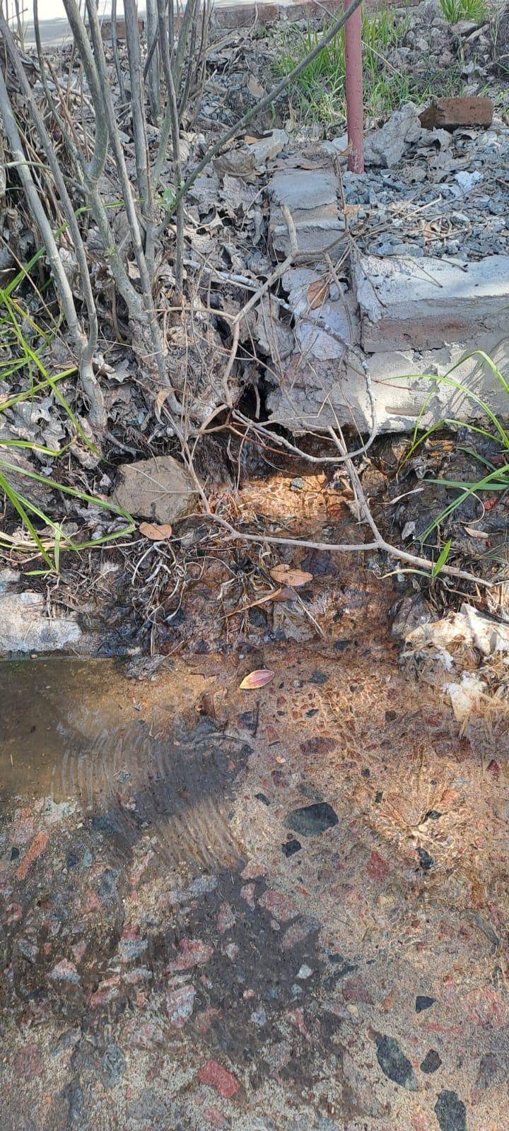 En zona norte, el agua potable sale por la vereda y no por la canilla