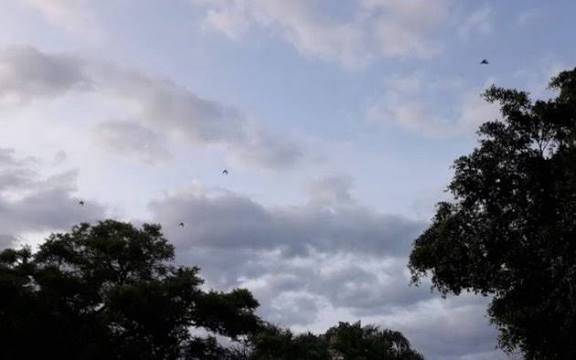 Cielo nublado en Quilmes 