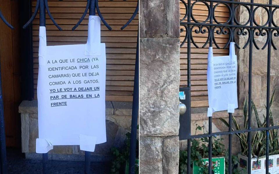 "A la que le deja comida a los gatos, un par de balas en la frente": amenazas y escándalo en barrio céntrico de La Plata