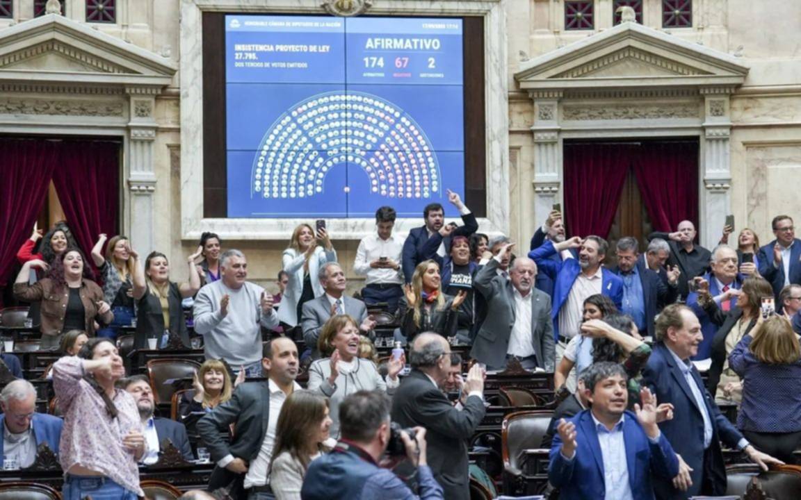 La oposición celebró el rechazo en Diputados a los vetos