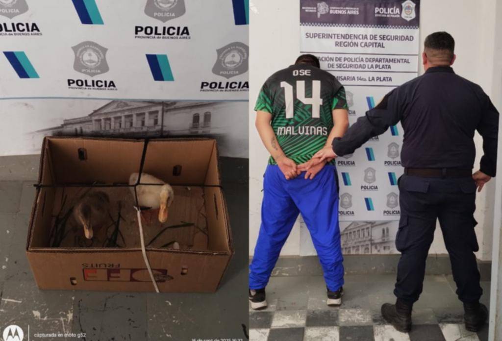 Una historia de crueldad y animales en agonía