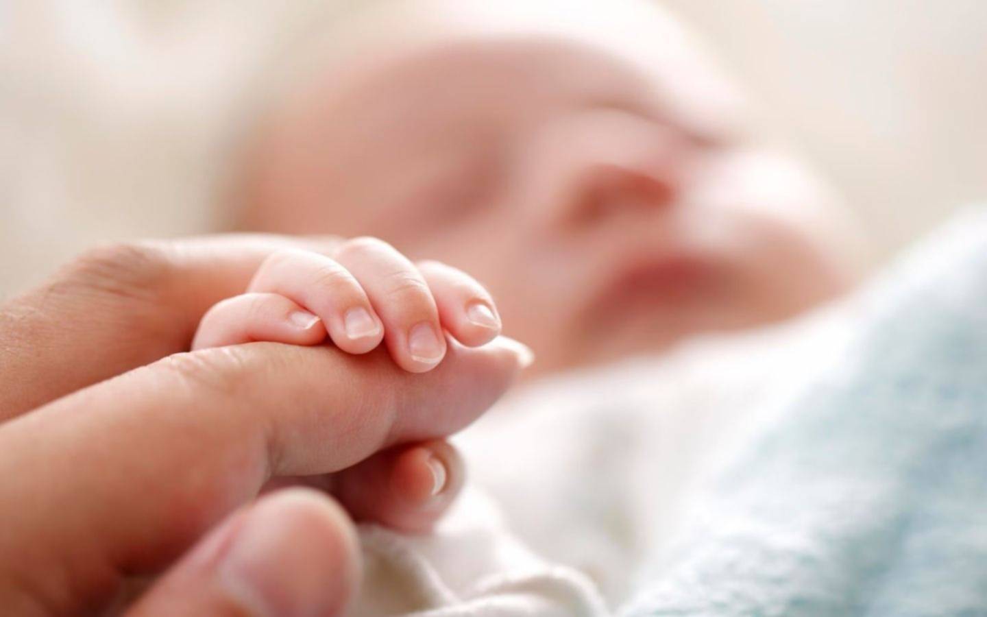 Un caso conmovedor: el bebé de vientre subrogado abandonado en Argentina podrá ser adoptado