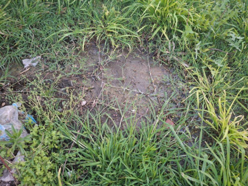 Una pérdida de agua en 132, 58 y 59 los deja sin presión