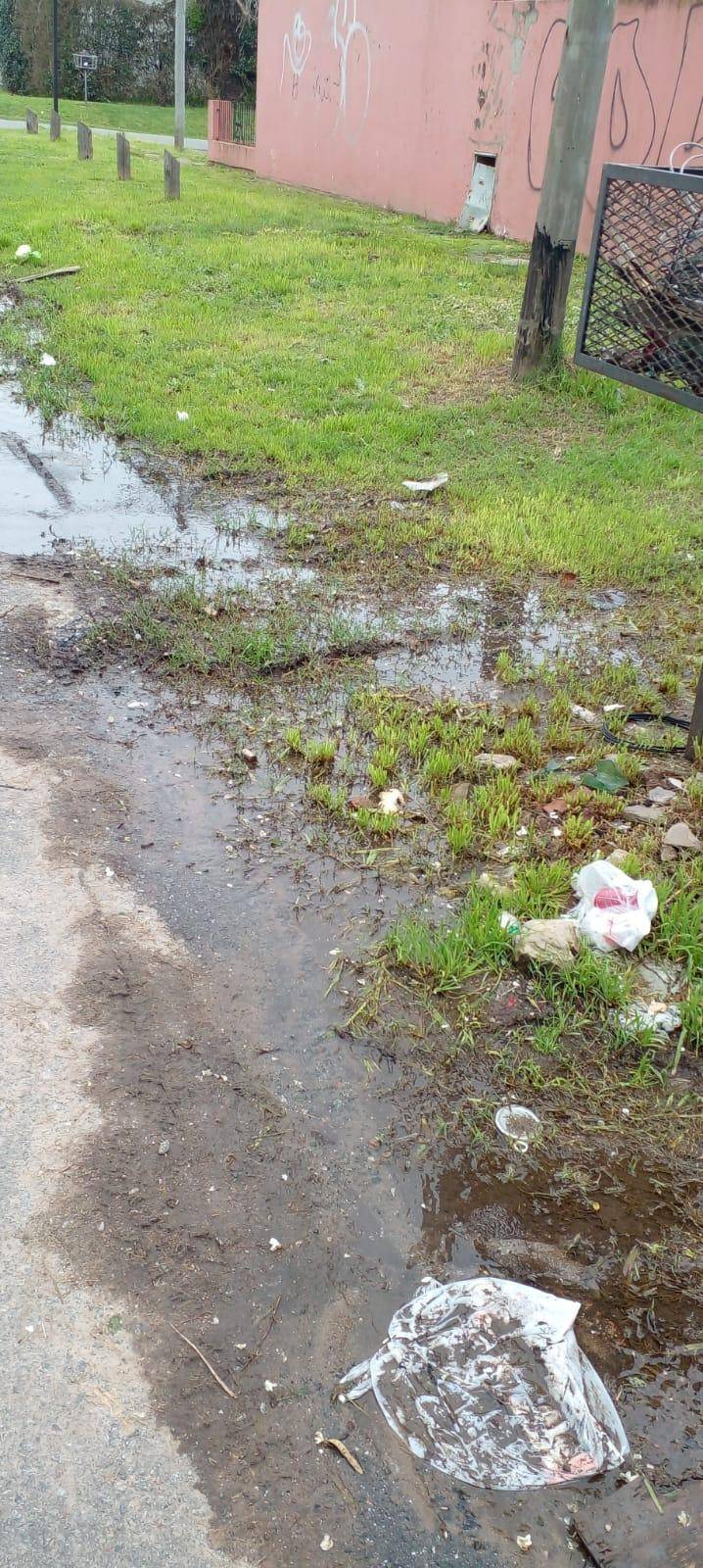 En Hernández, un desborde cloacal habita hace más de tres semanas