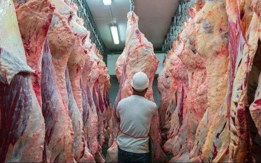Tras eliminar retenciones a los granos para conseguir dólares, el Gobierno extiende la medida a la carne avícola y bovina