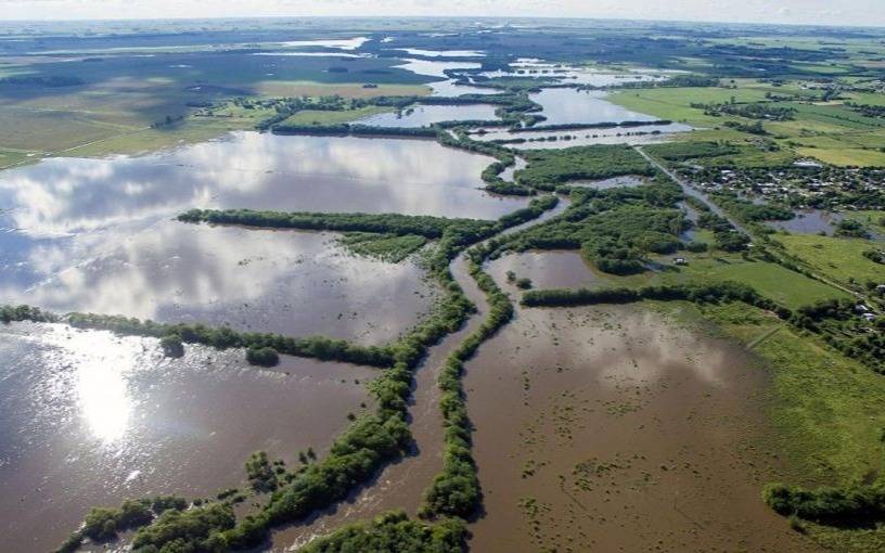 Prorrogan la Emergencia Agropecuaria en Buenos Aires: en qué ciudades y cómo se encuentran