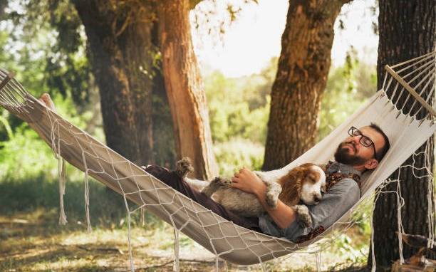 ¿Feriado o no laborable? Cómo se considera el próximo viernes 10 de octubre tras la decisión del Gobierno