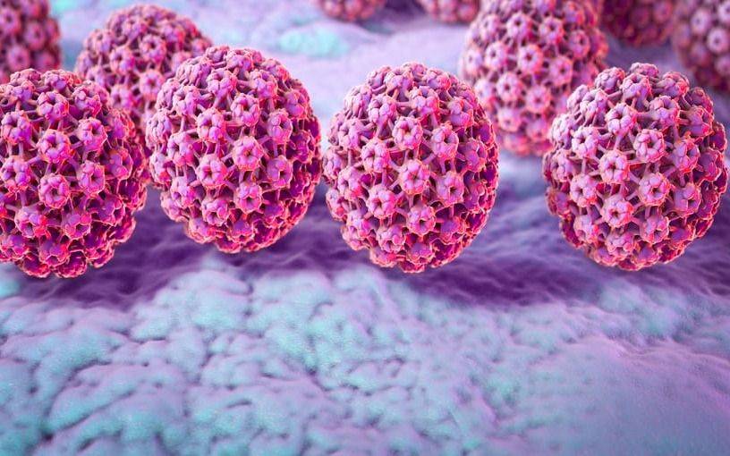 La lucha contra el HPV: información y prevención, la clave de todo