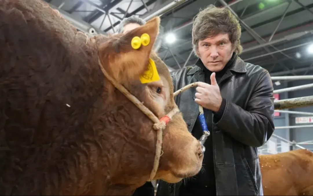 El Gobierno aclaró que "retenciones 0" sigue para la carne: la reacción del campo