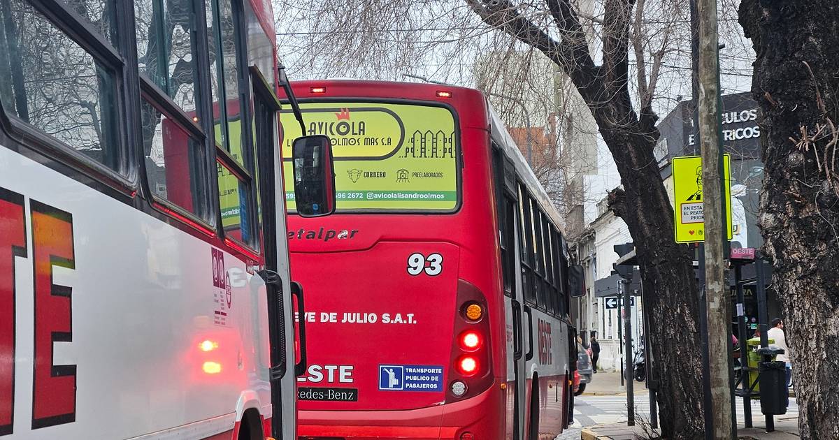 Aumentan los micros en La Plata nuevamente: a cuánto se irá el boleto ...