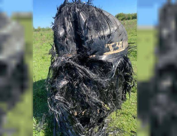 Se supo: develan el misterio de la "bestia peluda" que cayó desde el cielo en suelo argentino