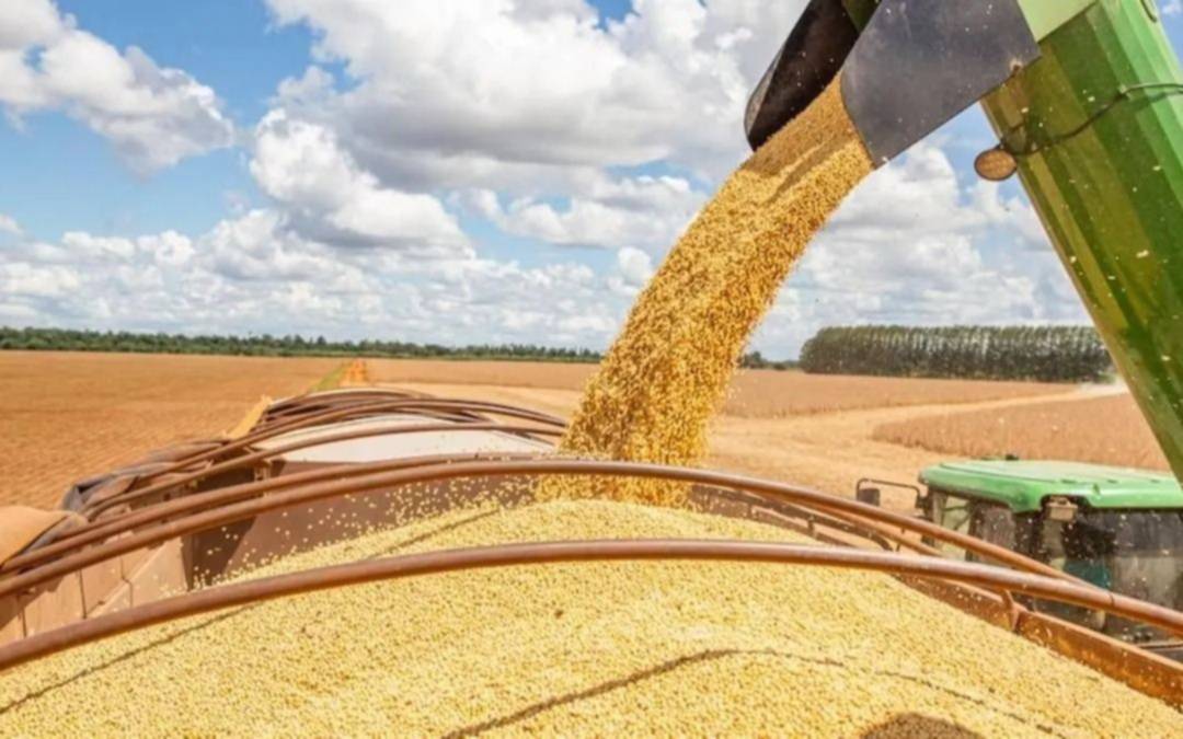  El campo, en alerta: la baja fugaz de retenciones benefició a exportadoras y abrió un frente político para Milei