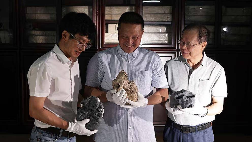 Evolución humana: un fósil pone en duda la historia