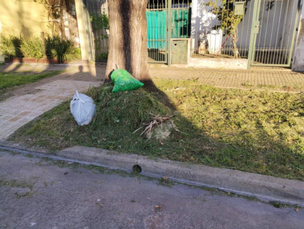 Queja por bolsas de residuos en la zona de 46 entre 28 y 29