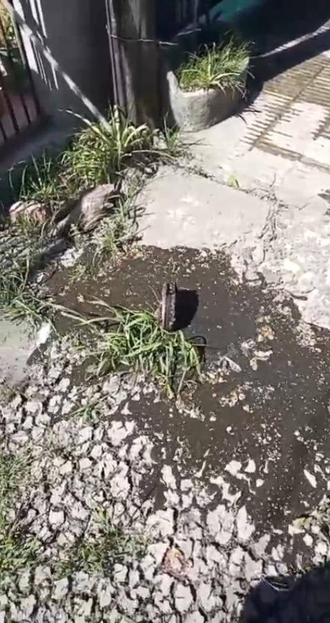 En Monasterio denuncian estar “tapados por la cloaca” desde hace un mes