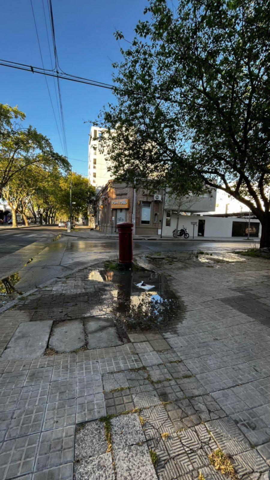 Quejas por un desborde cloacal cerca de una parada de micro