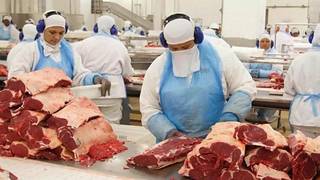 La Unión Europea frena la importación de carne desde Brasil