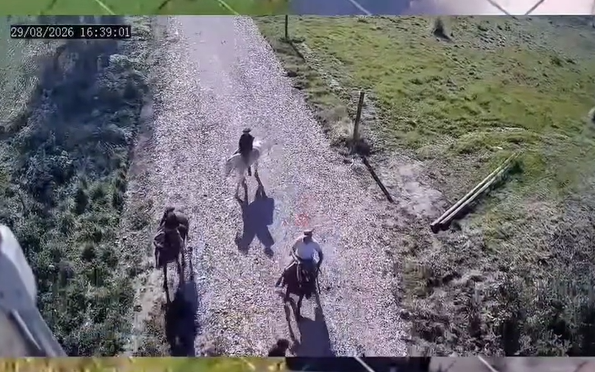 Violento ataque a caballo contra la Fundación Planeta Vivo en Berazategui