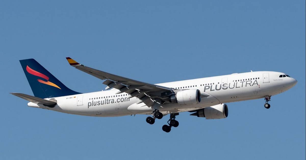 Sorpresa en La Plata por un enorme avión Airbus A330 que sobrevoló la ciudad a baja altura | El Dia