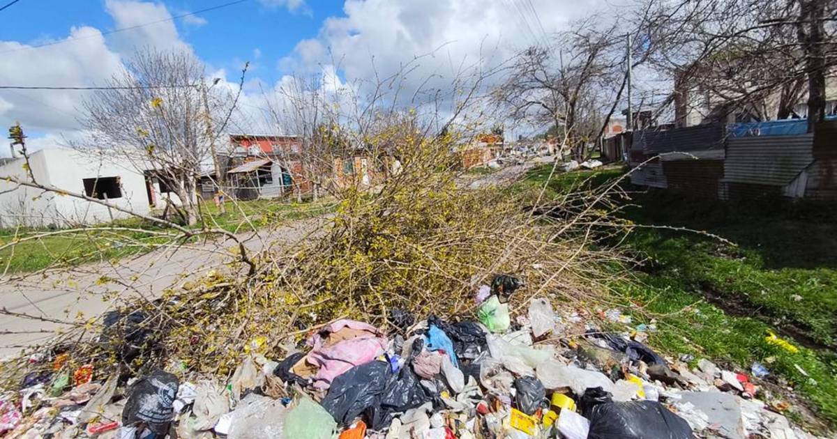 Microbasural y ramas: reclamo vecinal en Los Hornos | El Dia