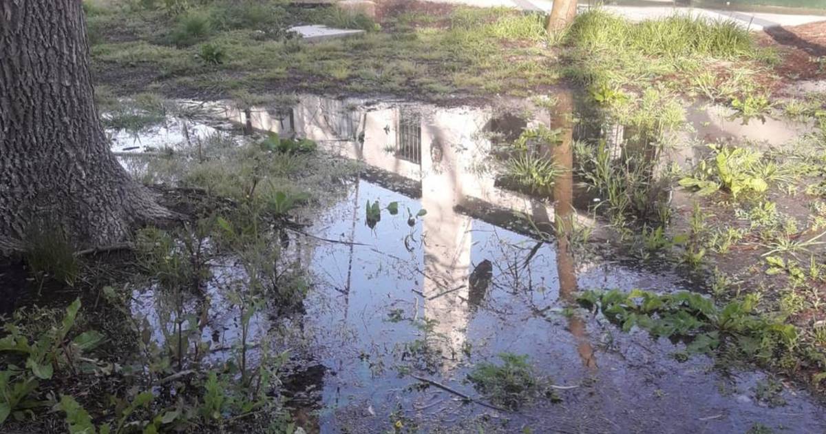 En Poblet denuncian que hay un pantano cloacal | El Dia