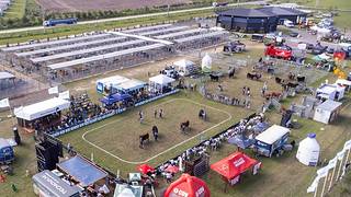 La Semana Angus de Primavera reúne genética y negocios en Cañuelas