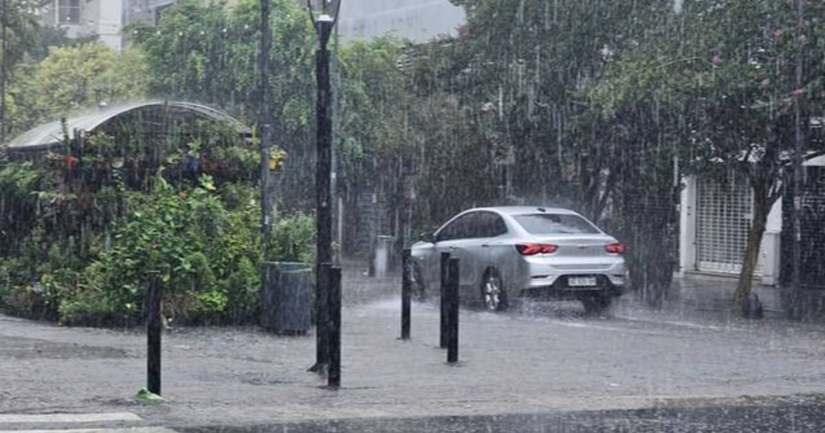 El Niño: La Plata prepara un operativo ante posibles tormentas y lluvias intensas | El Dia