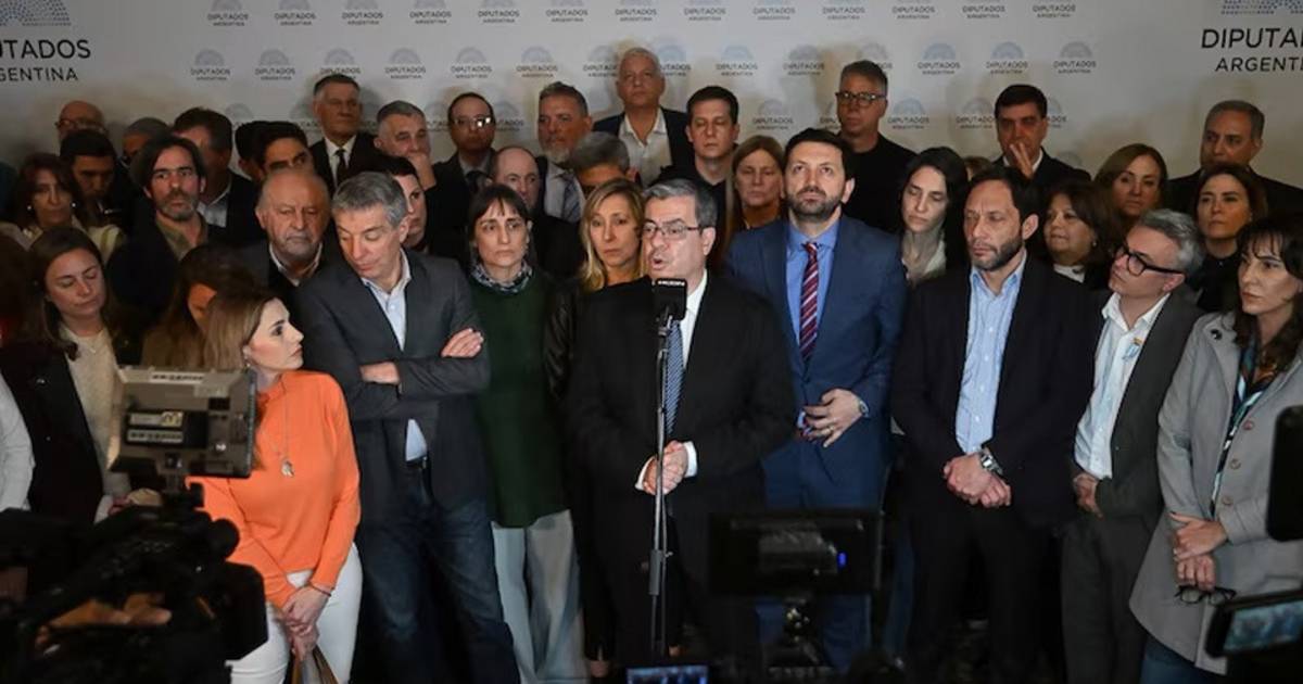 Ley de Tierras: la oposición impulsa una sesión para derogar el DNU tras el fallo de la Corte | El Dia