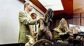 Presentaron restos fósiles del dinosaurio más grande del mundo