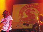 Dread Negast, a lo grande